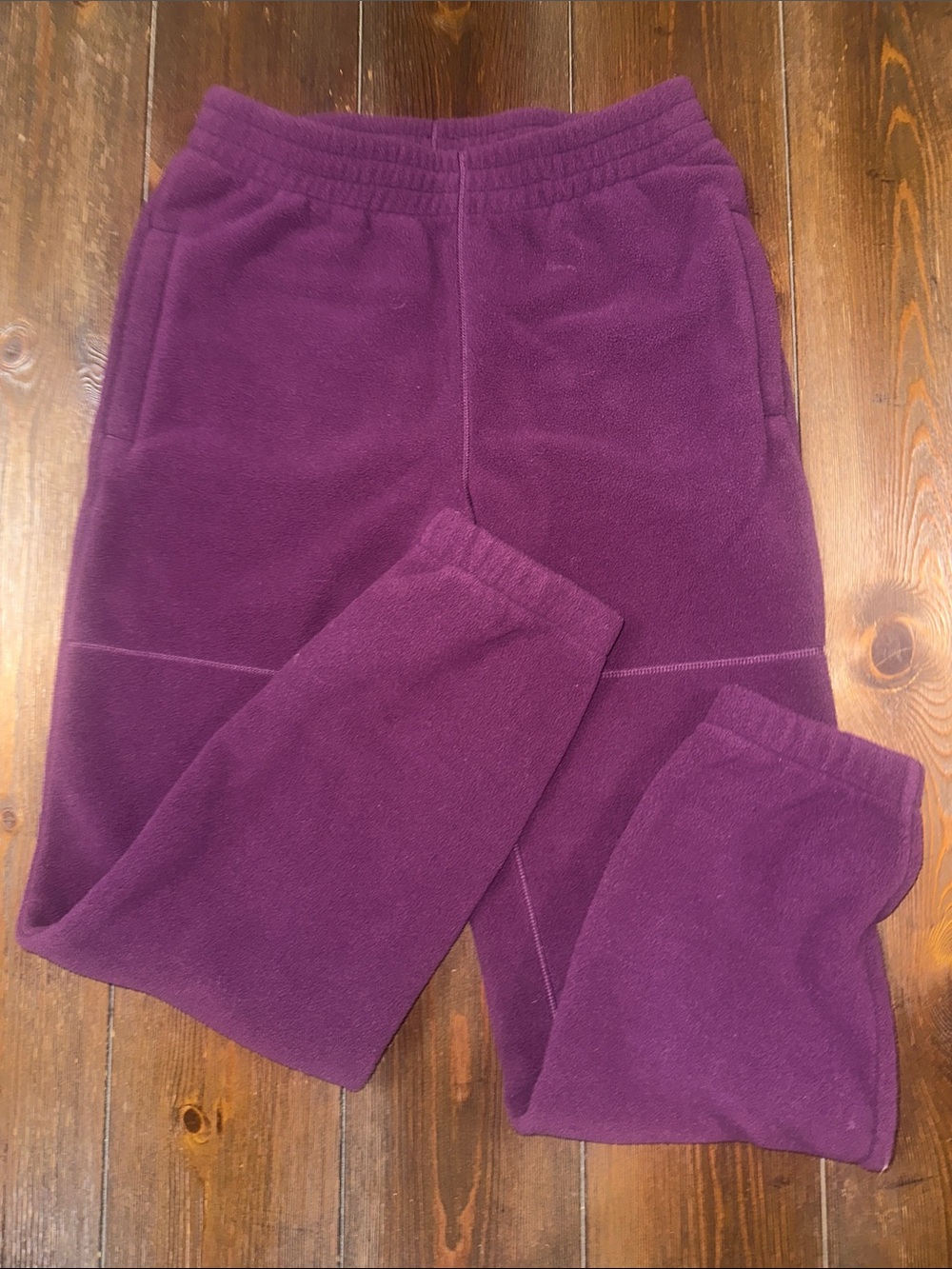 Aritzia Plum Fleece Jogger Pants